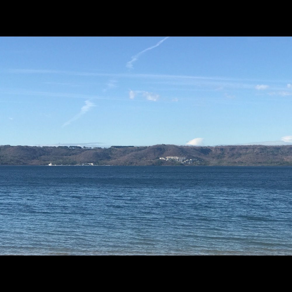 Meet your Posher, Carol